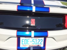 Ford GT 350 Blue stripe - brilliant paint